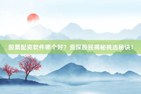 股票配资软件哪个好？资深股民揭秘挑选秘诀！