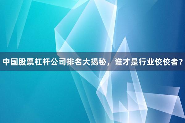 中国股票杠杆公司排名大揭秘，谁才是行业佼佼者？