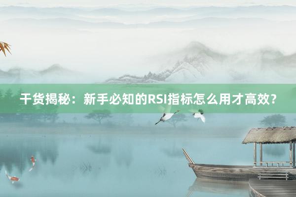干货揭秘：新手必知的RSI指标怎么用才高效？