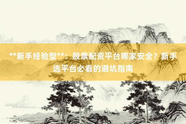 **新手经验型**：股票配资平台哪家安全？新手选平台必看的避坑指南