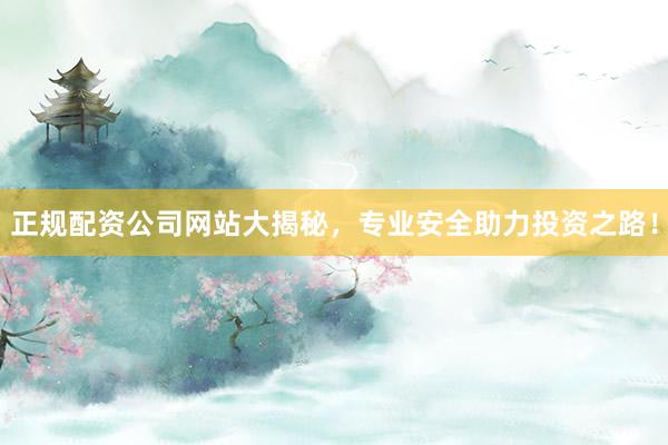正规配资公司网站大揭秘，专业安全助力投资之路！