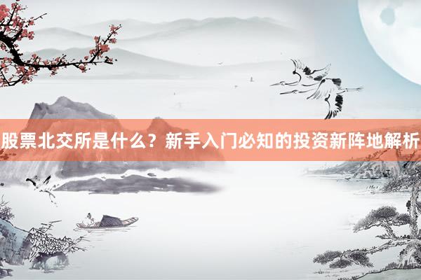 股票北交所是什么？新手入门必知的投资新阵地解析