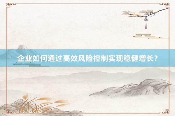 企业如何通过高效风险控制实现稳健增长？