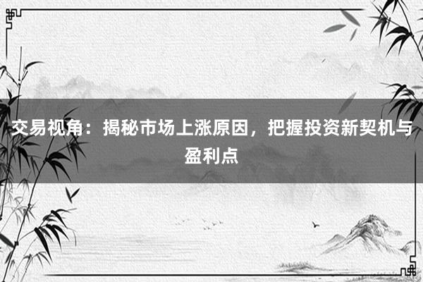 交易视角:揭秘市场上涨原因,把握投资新契机与盈利点
