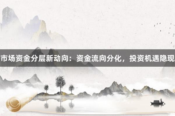 市场资金分层新动向：资金流向分化，投资机遇隐现