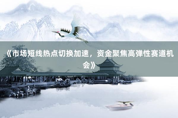《市场短线热点切换加速，资金聚焦高弹性赛道机会》