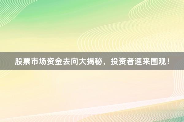 股票市场资金去向大揭秘，投资者速来围观！