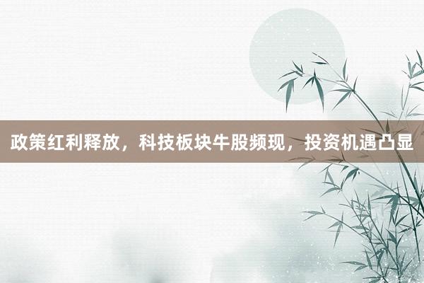 政策红利释放，科技板块牛股频现，投资机遇凸显