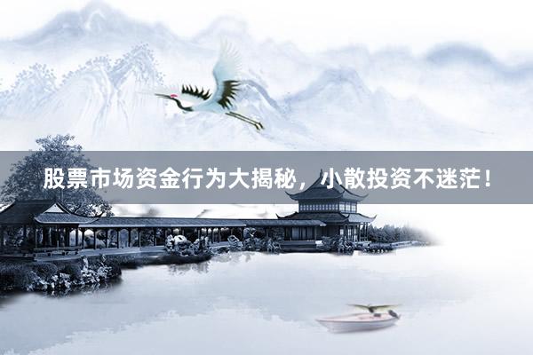 股票市场资金行为大揭秘，小散投资不迷茫！