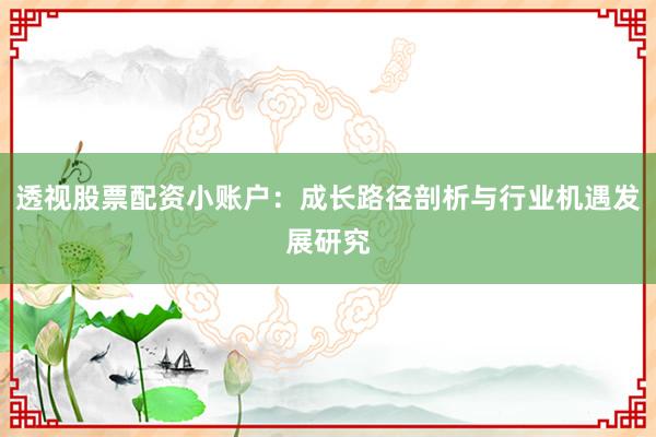 透视股票配资小账户:成长路径剖析与行业机遇发展研究