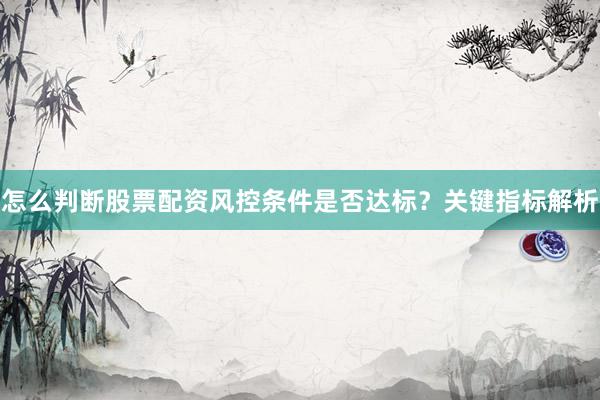 怎么判断股票配资风控条件是否达标？关键指标解析
