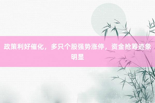 政策利好催化，多只个股强势涨停，资金抢筹迹象明显