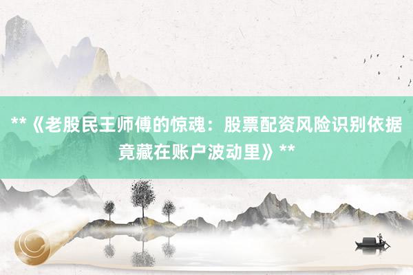 **《老股民王师傅的惊魂：股票配资风险识别依据竟藏在账户波动里》**