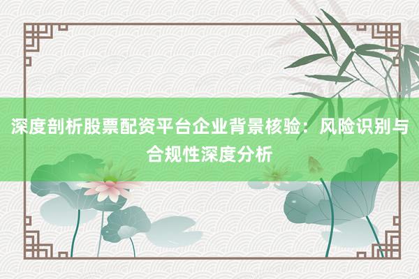 深度剖析股票配资平台企业背景核验:风险识别与合规性深度分析