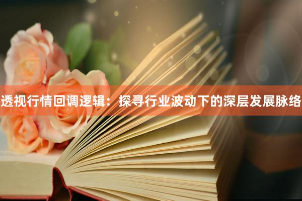 透视行情回调逻辑：探寻行业波动下的深层发展脉络