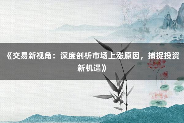 《交易新视角：深度剖析市场上涨原因，捕捉投资新机遇》